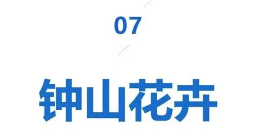 临沂在线网站 连接城市脉搏，引领智慧生活新潮流